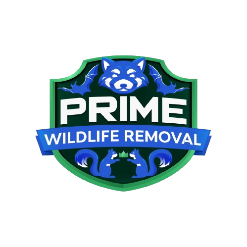 Wildlife Removal New Albany